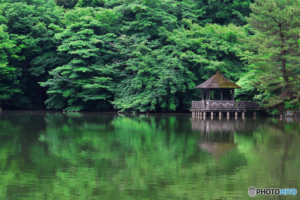 石神井公園三宝字池