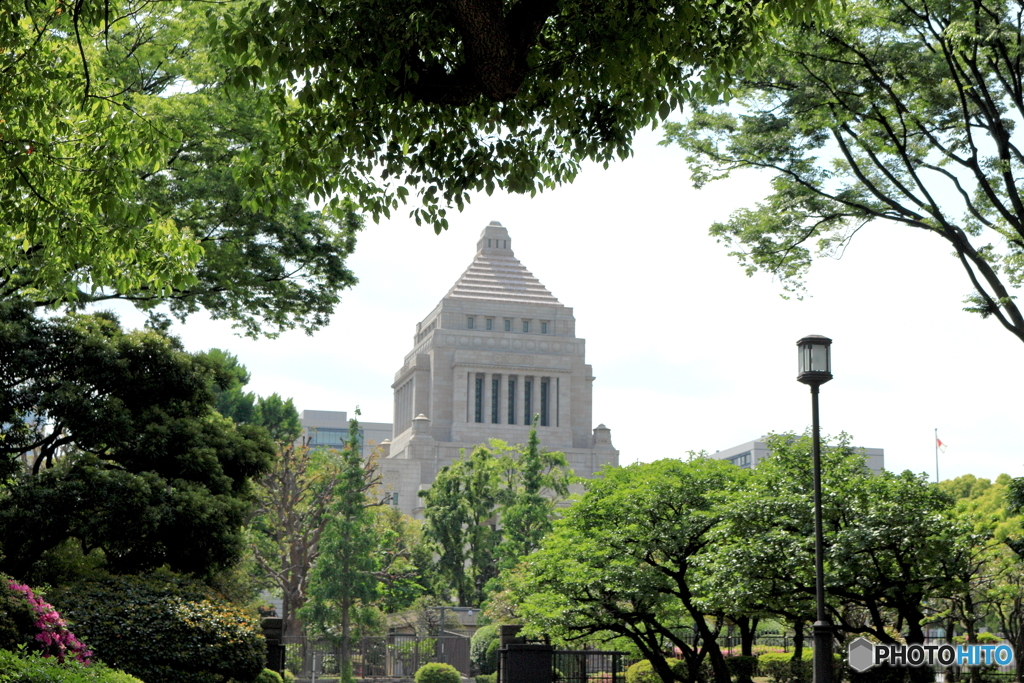新緑に包まれる国会議事堂