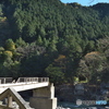 橋が壊れて渡れない
