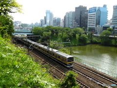 新緑の外濠公園3