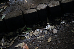雨上がり
