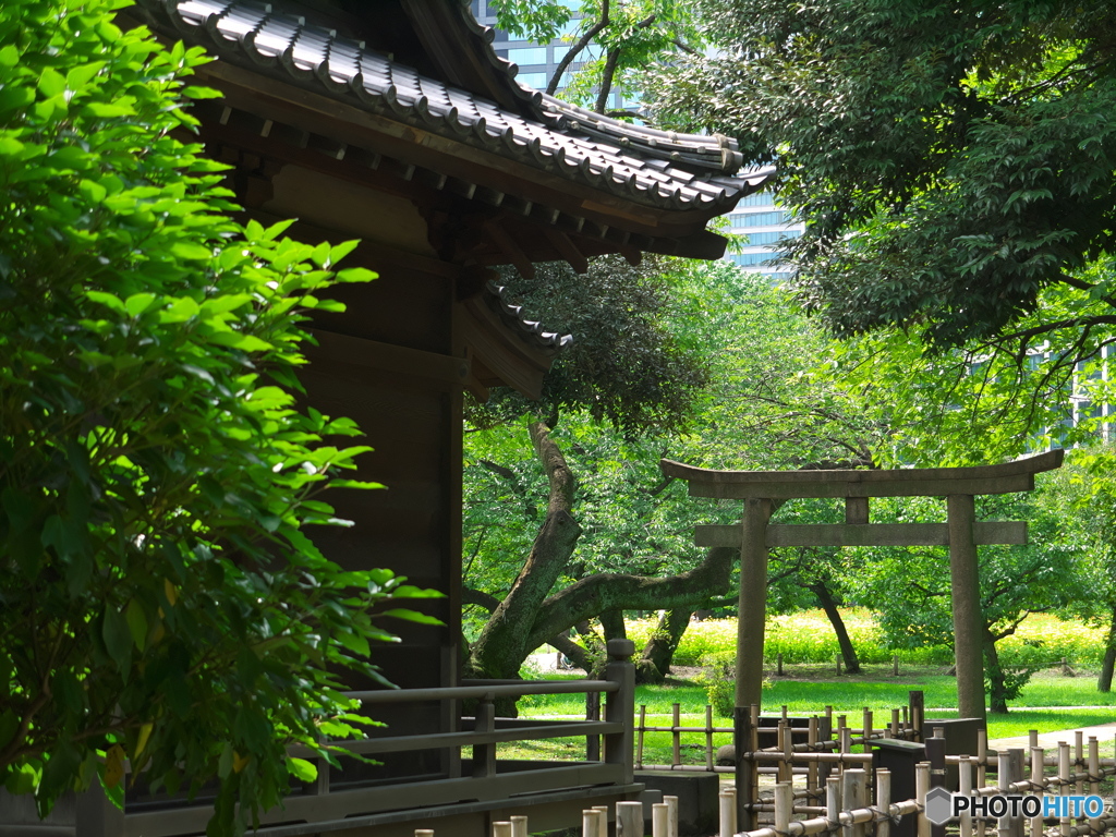 旧稲生（いなぶ）神社とコスモス畑