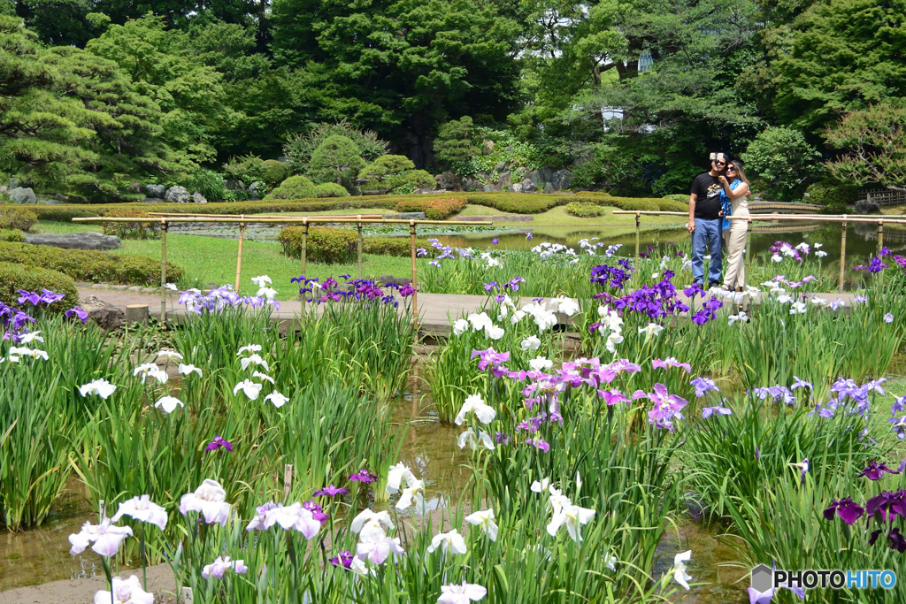 菖蒲田で記念撮影