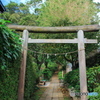 金比羅山の鳥居