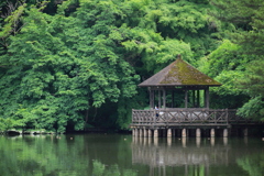 東屋と三宝寺池