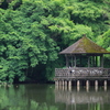 東屋と三宝寺池