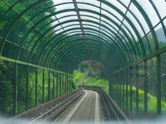 軌道