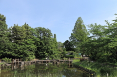 哲学堂公園7