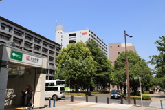 初夏