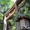 新緑の明治神宮3