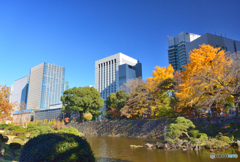 日比谷公園の心字池