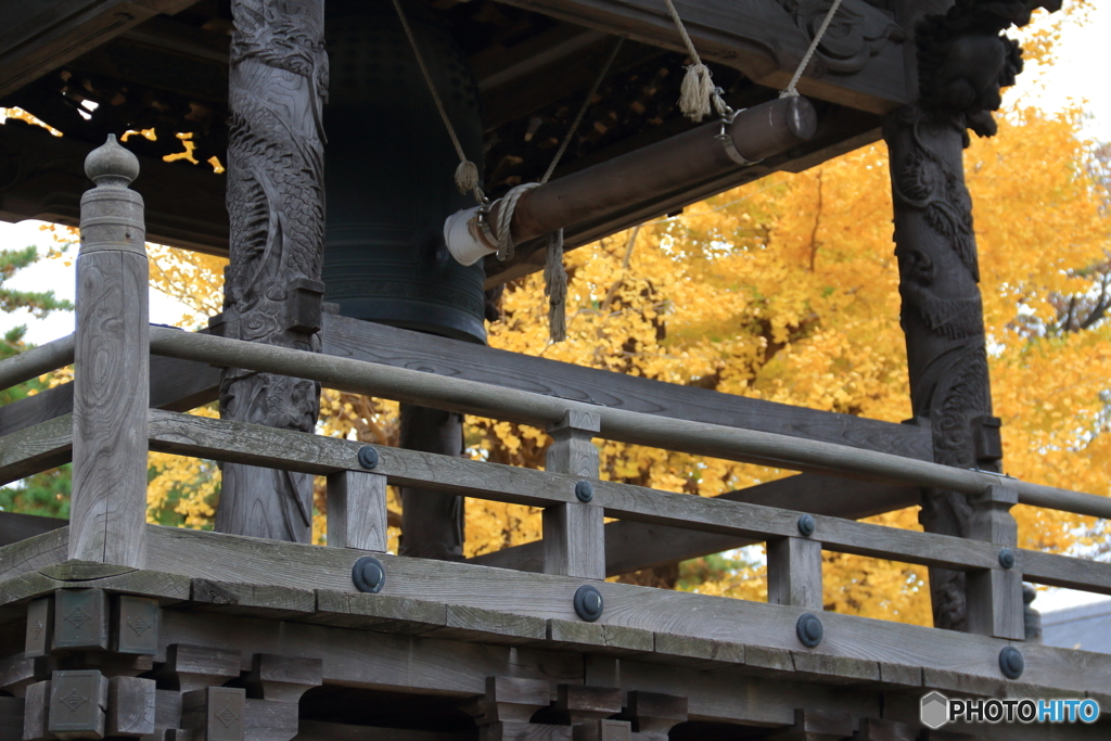 三宝寺の紅葉4