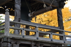 三宝寺の紅葉4