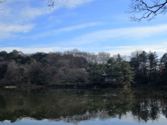 新年の石神井公園1