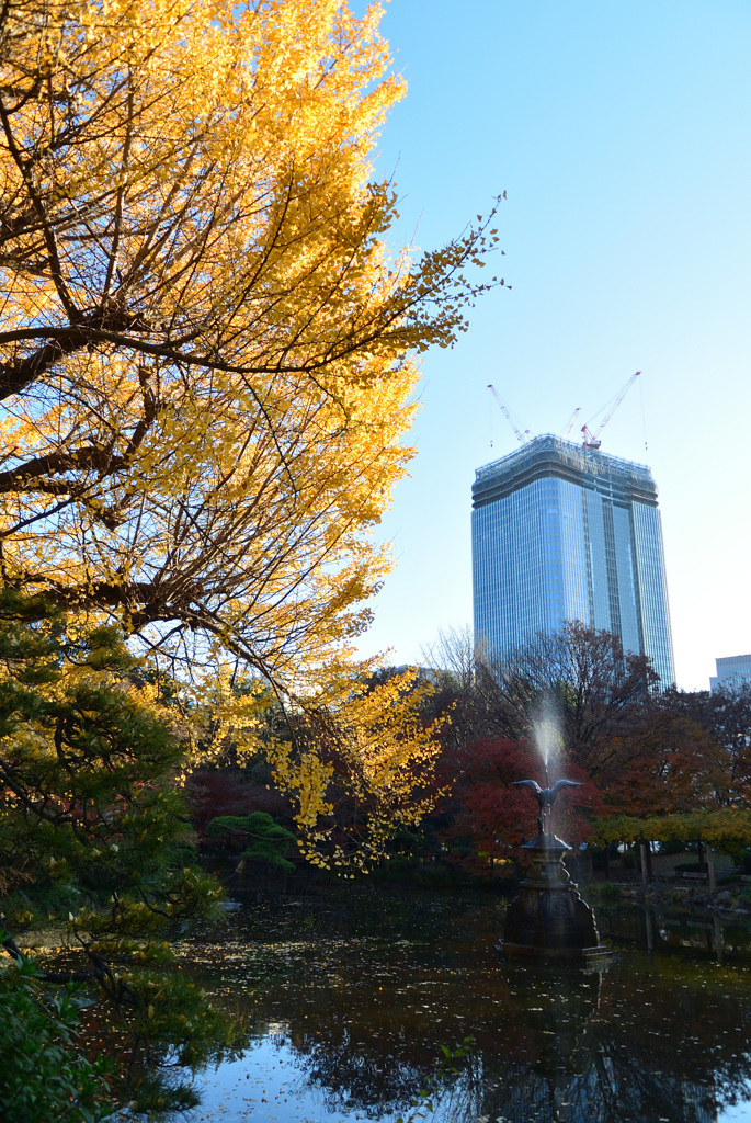 日比谷公園の紅葉_4