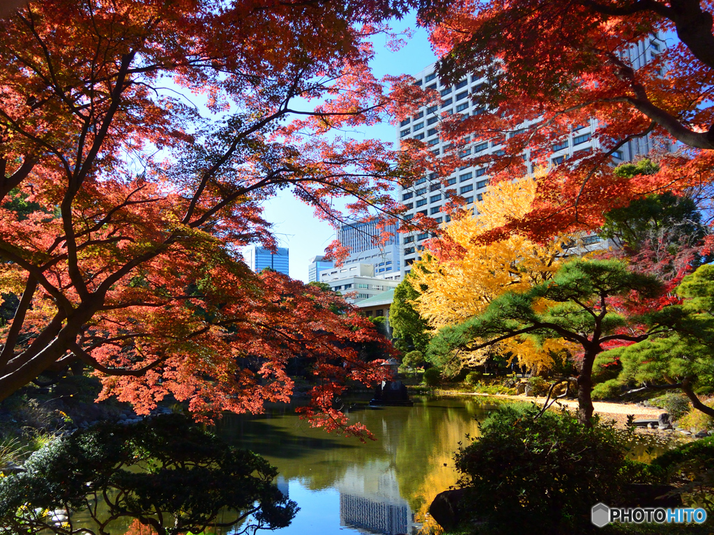 紅葉の日比谷公園