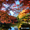 紅葉の日比谷公園