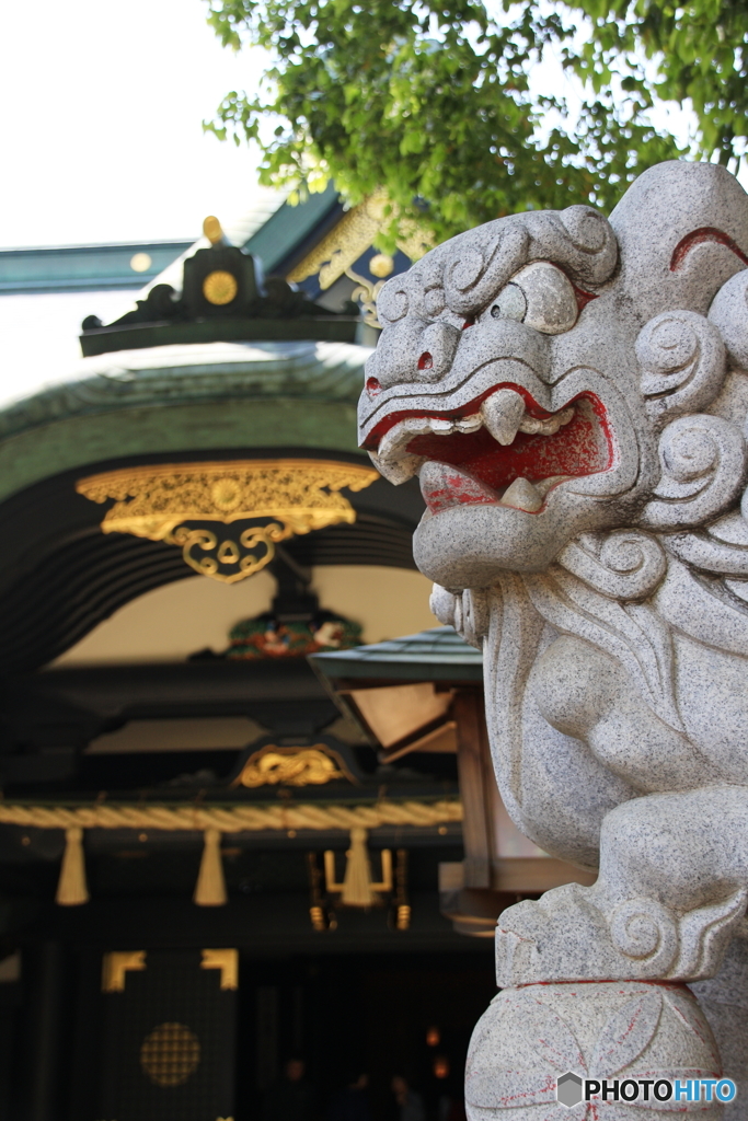 穴八幡宮の狛犬1