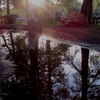 石神井公園の夕日と湧水1