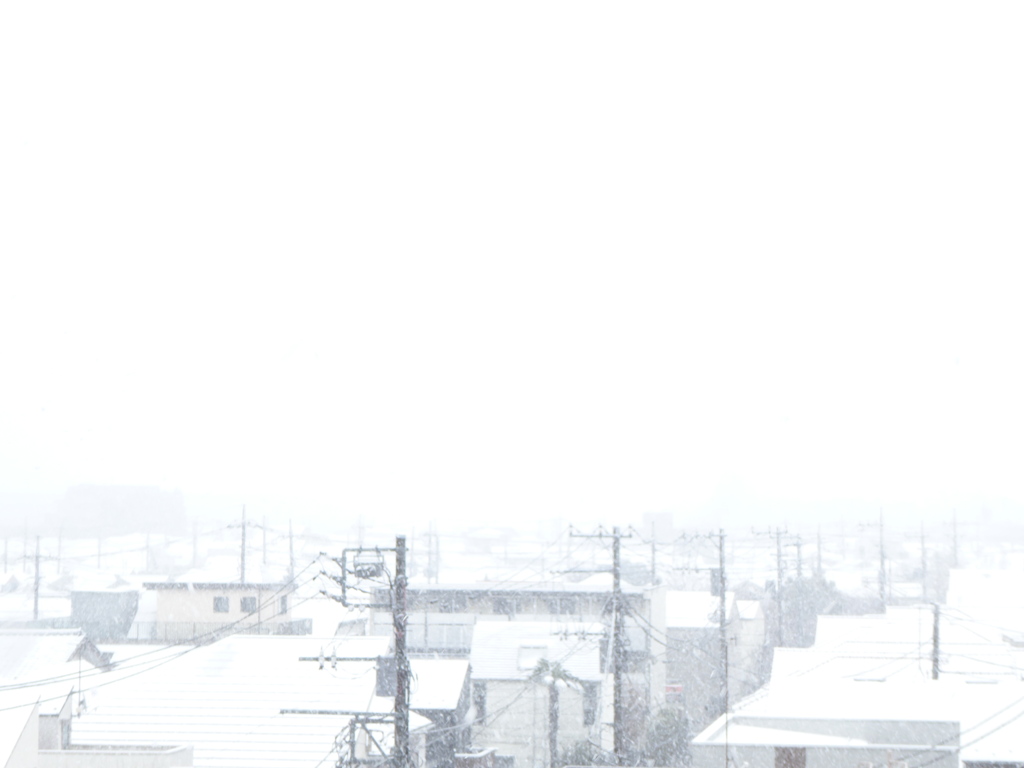 都内は大雪