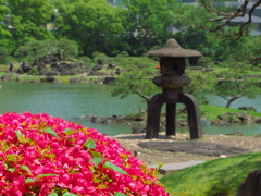 つつじと石灯籠