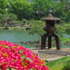 つつじと石灯籠