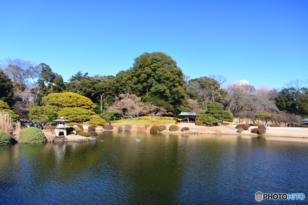 日本庭園