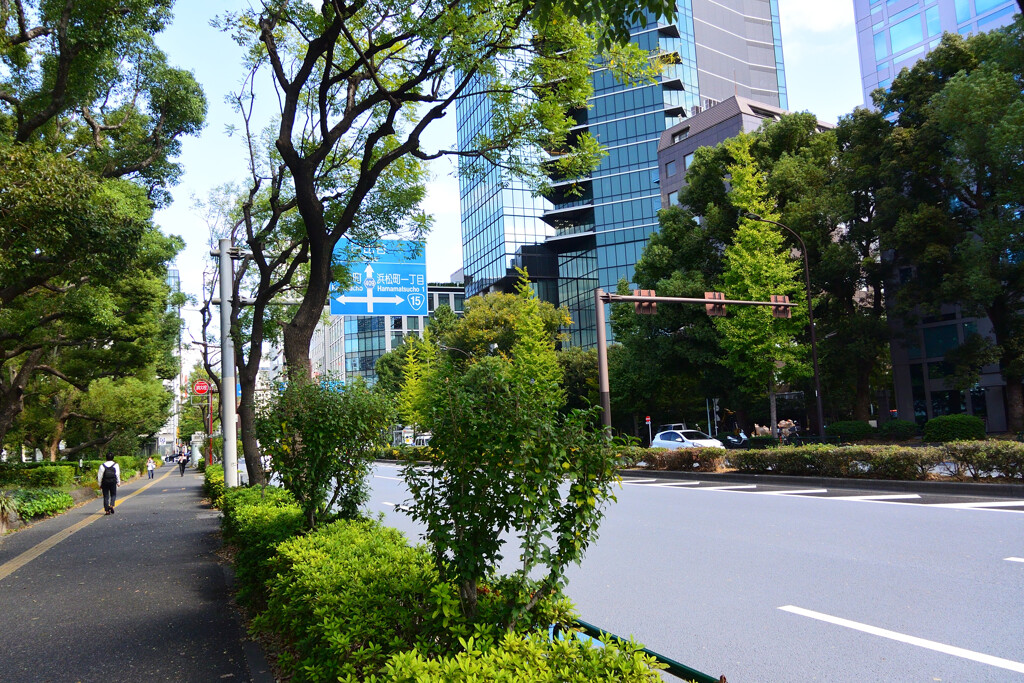 日比谷通り