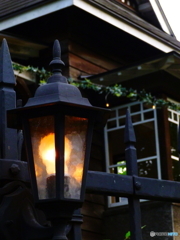 早朝の日比谷公園2