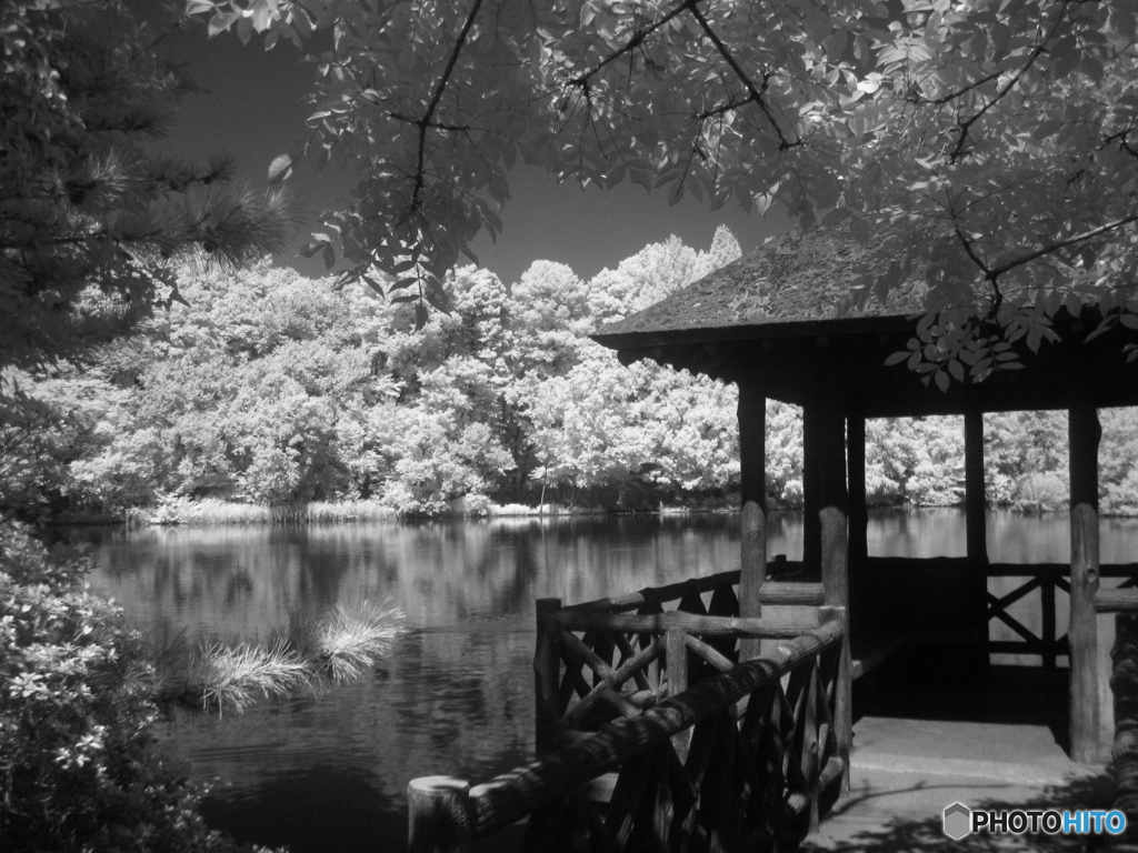 三宝寺池と東屋