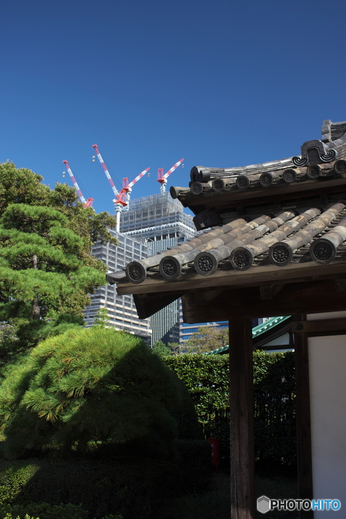 江戸と平成の融合