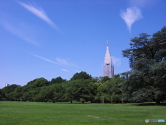 ６月の新宿御苑1