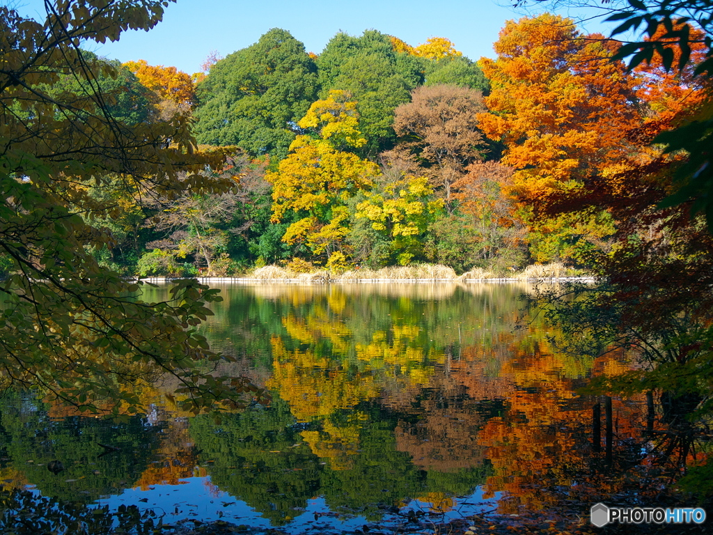 紅葉の三宝字池