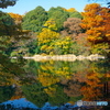 紅葉の三宝字池