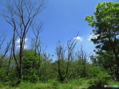 埼玉県営和光樹林公園5