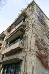表参道ヒルズ同潤館