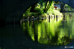 朝の石神井公園（2016年7月)_3