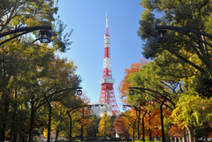 東京タワーと紅葉