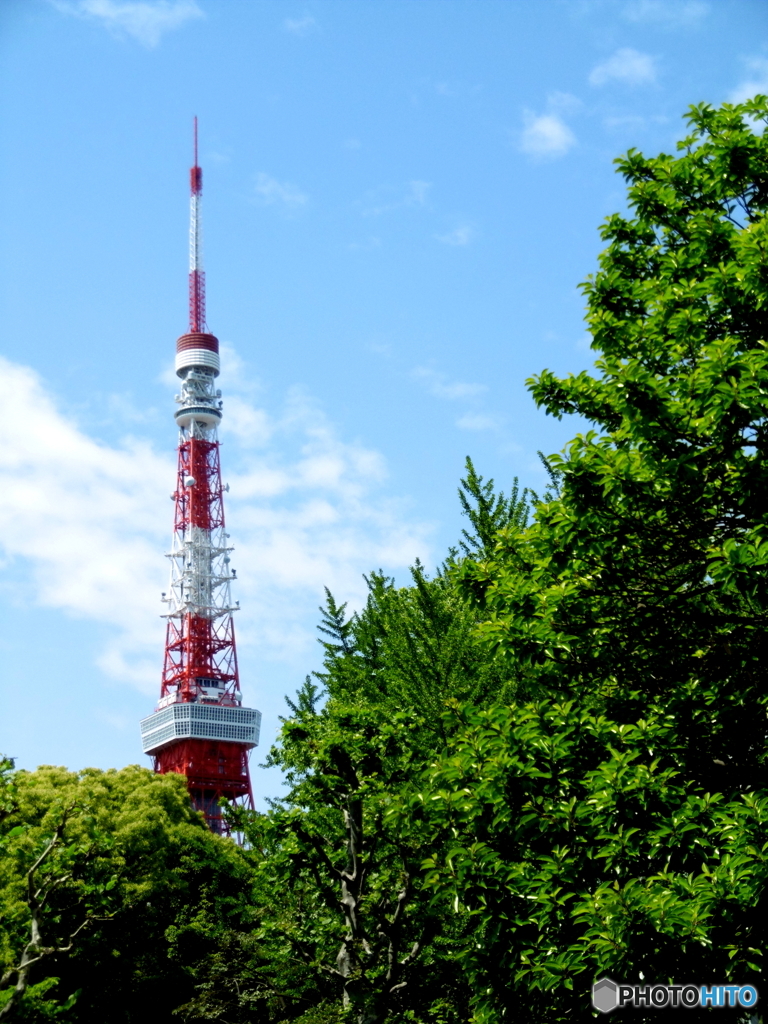 街歩き（芝）