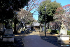 北野神社2