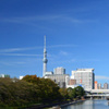 横十間川の眺望