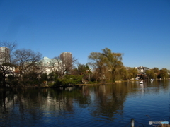 石神井公園（カラー、モノクロ）5