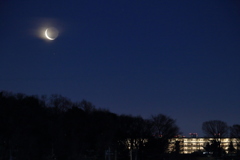 朧月の夜明け