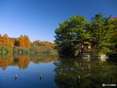 三宝字池と厳島神社