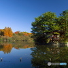 三宝字池と厳島神社