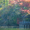 東屋と紅葉