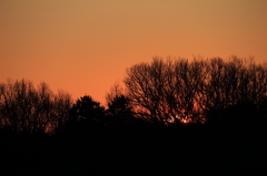 2016年元旦の朝日（自宅）10