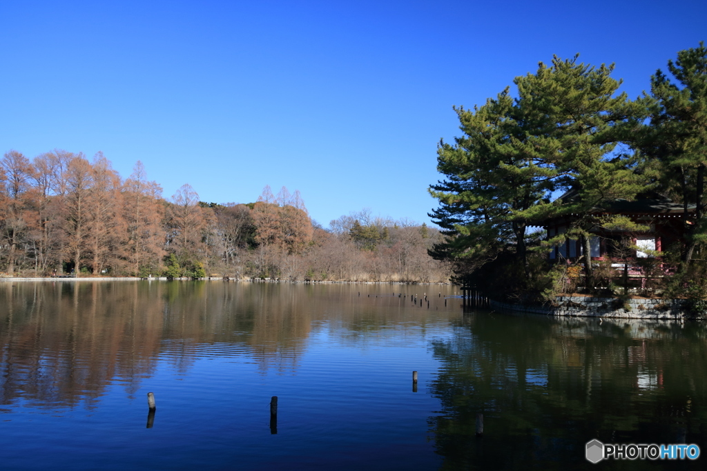 厳島神社と三宝寺池