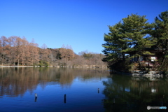 厳島神社と三宝寺池
