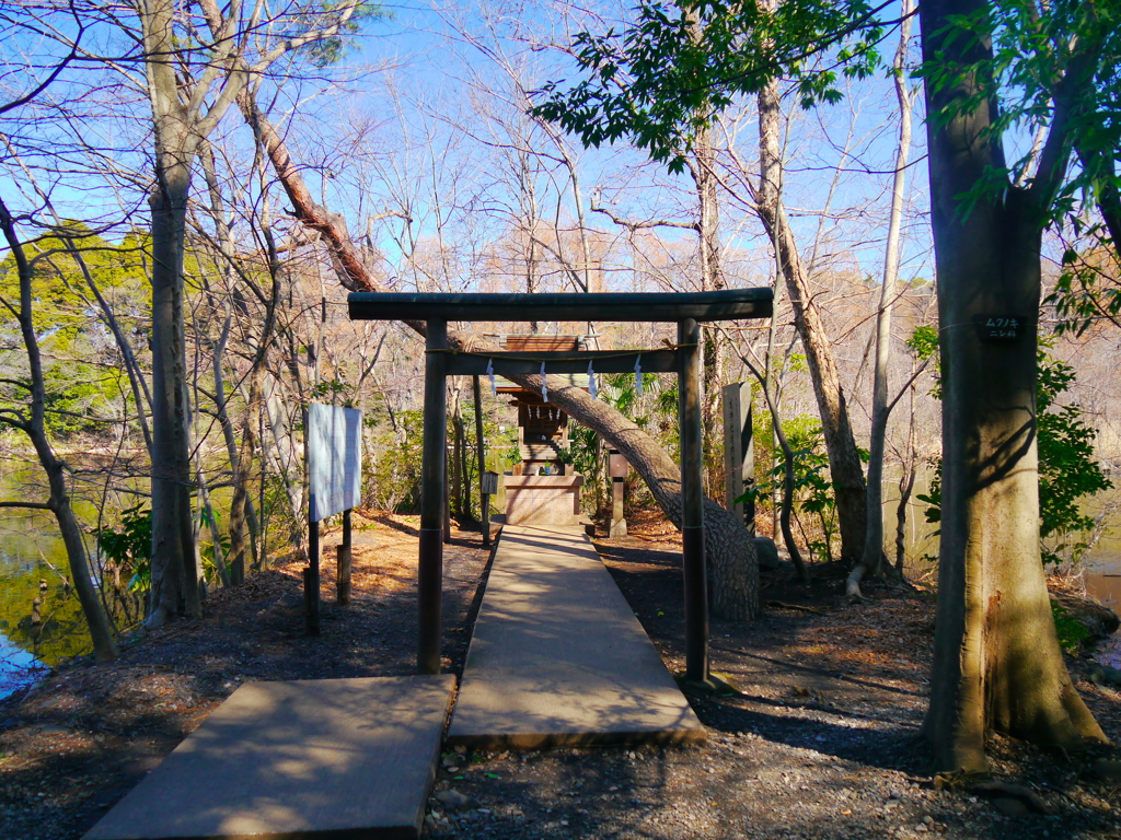 三宝寺池の水神様_2